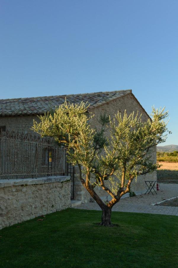 La Bastide Neuve Bed and Breakfast Joucas Eksteriør billede